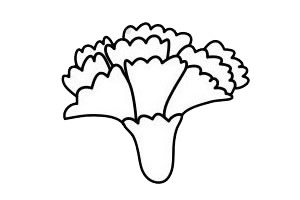 康乃馨 一筆一筆的教畫康乃馨 康乃馨簡(jiǎn)單畫法