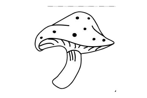 蘑菇 蘑菇簡(jiǎn)筆畫圖片