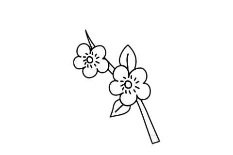 梅花 梅花簡(jiǎn)筆畫(huà)圖片