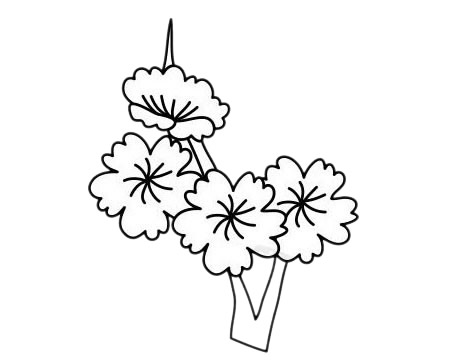 梅花 梅花簡(jiǎn)筆畫(huà)圖片