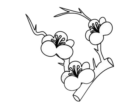 梅花 梅花簡(jiǎn)筆畫(huà)圖片