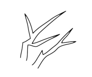 梅花 梅花簡(jiǎn)筆畫(huà)圖片