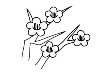 梅花 梅花簡(jiǎn)筆畫(huà)怎么畫(huà)步驟圖解
