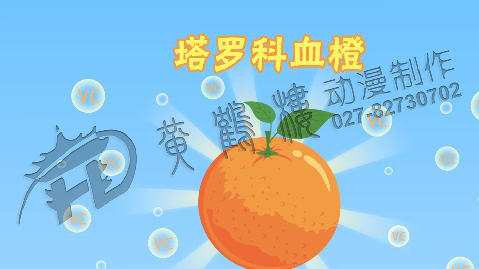 三峽血橙原畫分鏡頭設(shè)計0004.png