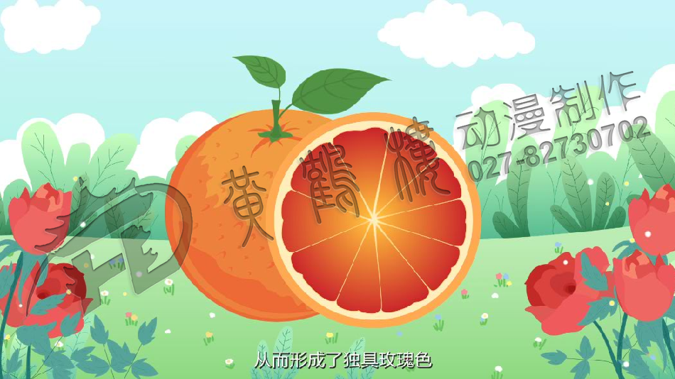 三峽血橙原畫分鏡頭設(shè)計0009.png