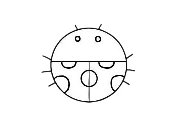 七星瓢蟲 七星瓢蟲簡(jiǎn)筆畫圖片