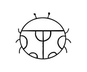 七星瓢蟲 七星瓢蟲簡(jiǎn)筆畫圖片