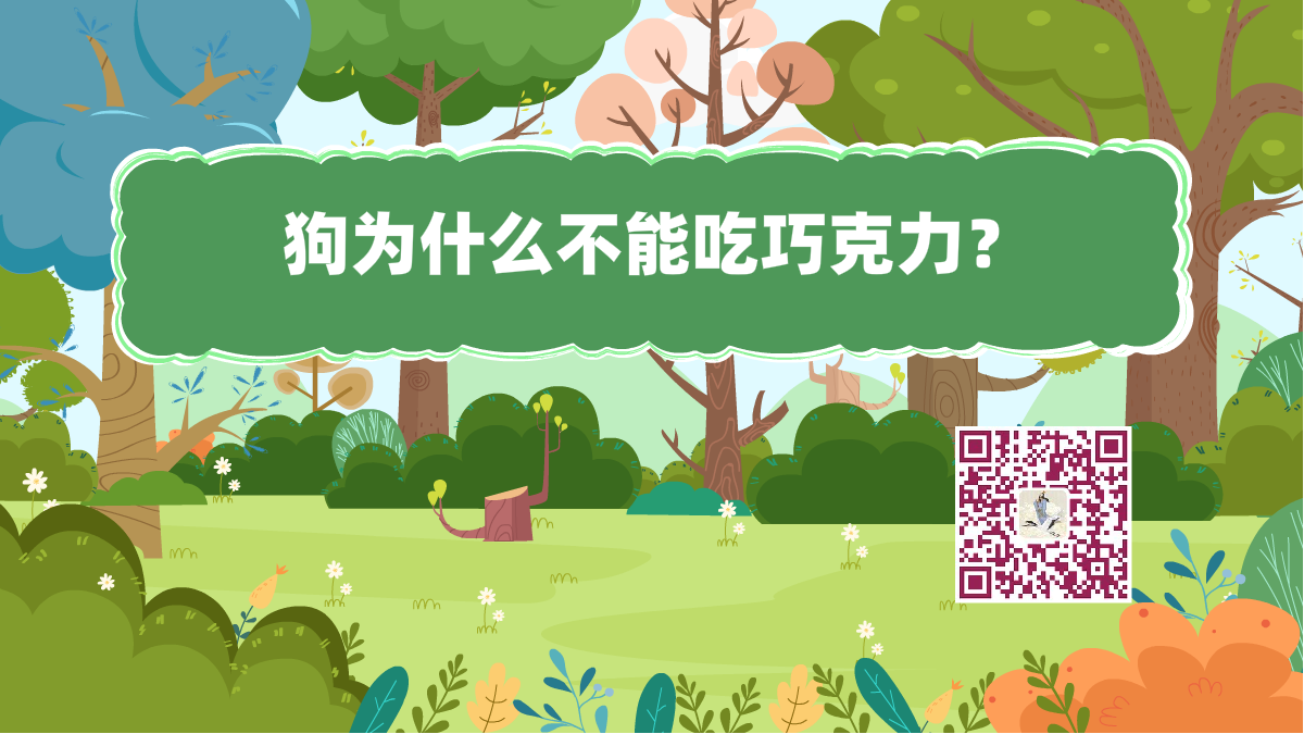 十萬(wàn)個(gè)為什么標(biāo)題(狗-巧克力)1200.png 十萬(wàn)個(gè)為什么標(biāo)題(狗-巧克力)1200.png