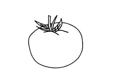 西紅柿 西紅柿簡(jiǎn)筆畫(huà)圖片