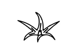 西紅柿 西紅柿簡(jiǎn)筆畫(huà)圖片