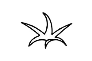 西紅柿 西紅柿簡(jiǎn)筆畫(huà)圖片
