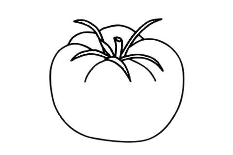 西紅柿 西紅柿簡(jiǎn)筆畫(huà)圖片