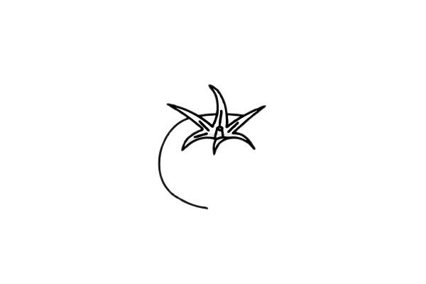 西紅柿 西紅柿簡(jiǎn)筆畫(huà)圖片