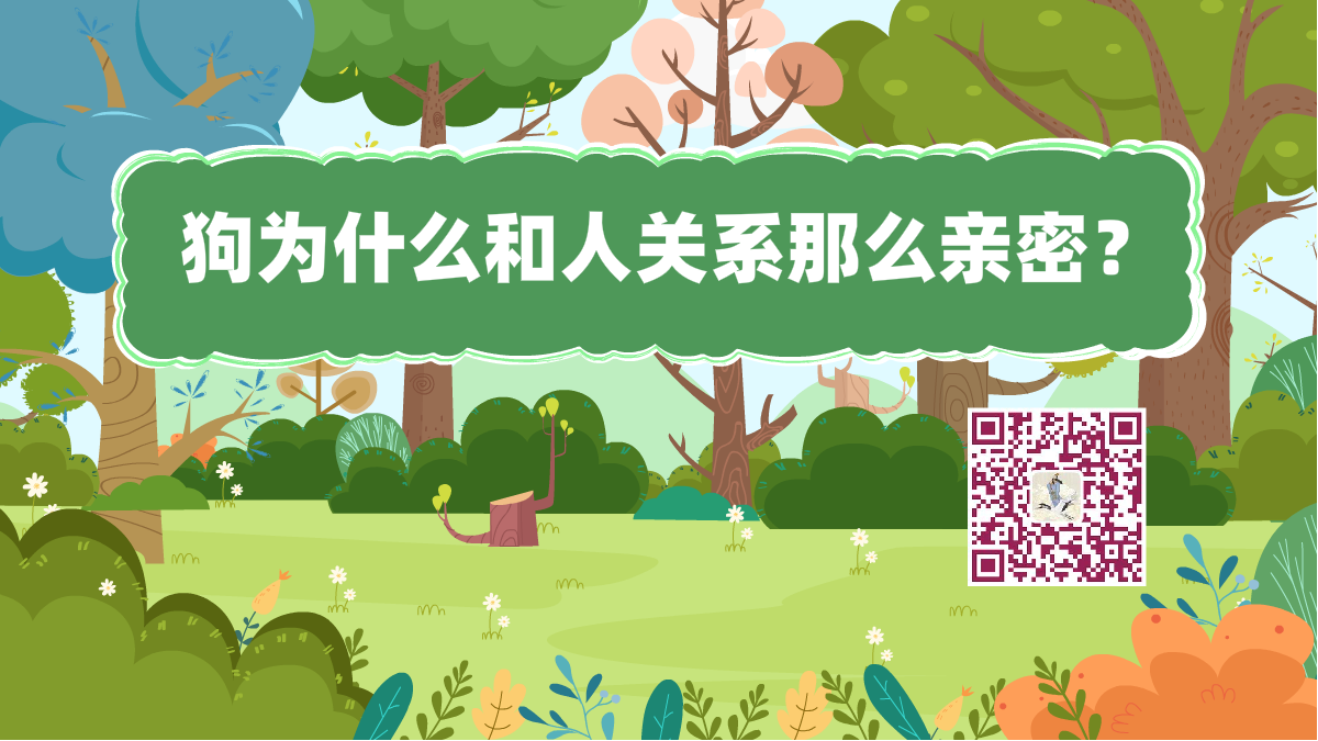 十萬個為什么標題(人狗親密)1200.png 十萬個為什么標題(人狗親密)1200.png