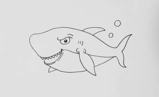 鯊魚 彩色鯊魚簡筆畫 鯊魚怎么畫才可怕又兇猛又好看