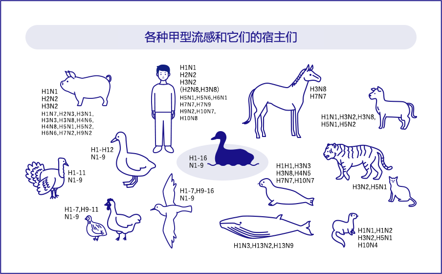 流感 流感科普動漫制作
