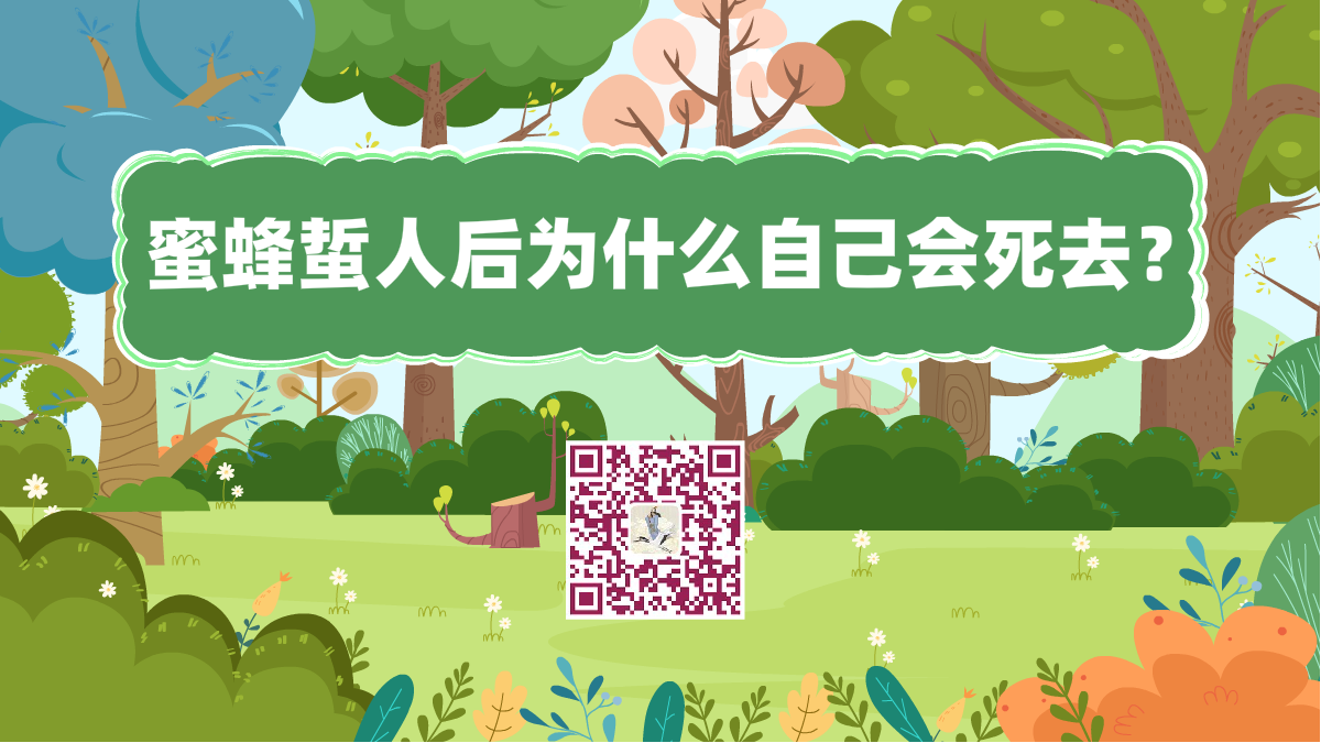 十萬個為什么標題(蜜蜂蜇人后為什么自己會死去)1200.png 十萬個為什么標題(蜜蜂蜇人后為什么自己會死去)1200.png