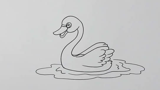 天鵝 天鵝怎么畫簡筆畫簡單又漂亮
