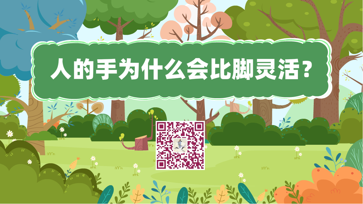 十萬(wàn)個(gè)為什么標(biāo)題(為什么手會(huì)比腳靈活)1200.png 十萬(wàn)個(gè)為什么標(biāo)題(為什么手會(huì)比腳靈活)1200.png