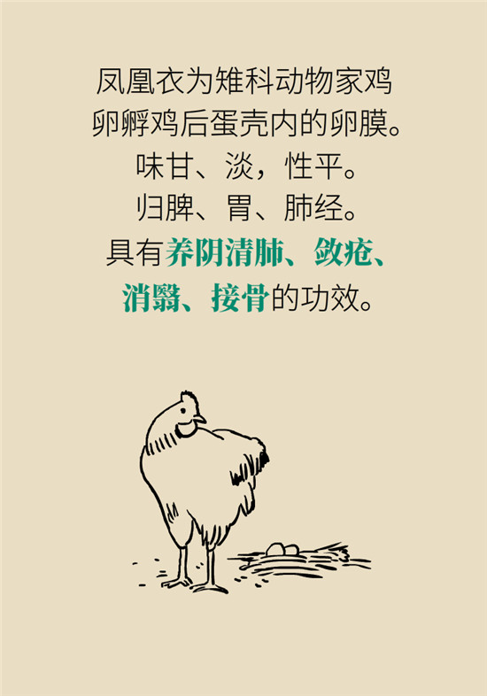 雞蛋科普動漫制作