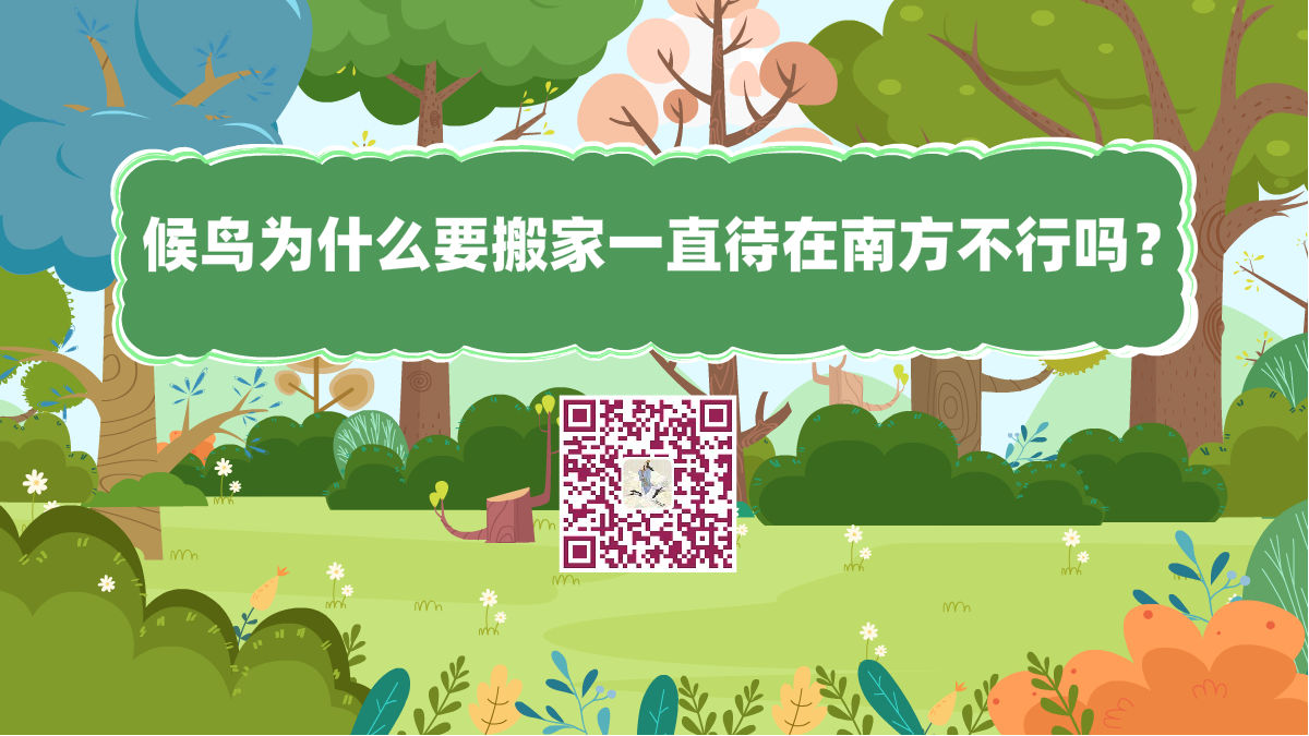 十萬個為什么標題(候鳥為什么要搬家一直待在南方不行嗎)1200.png 十萬個為什么標題(候鳥為什么要搬家一直待在南方不行嗎)1200.png