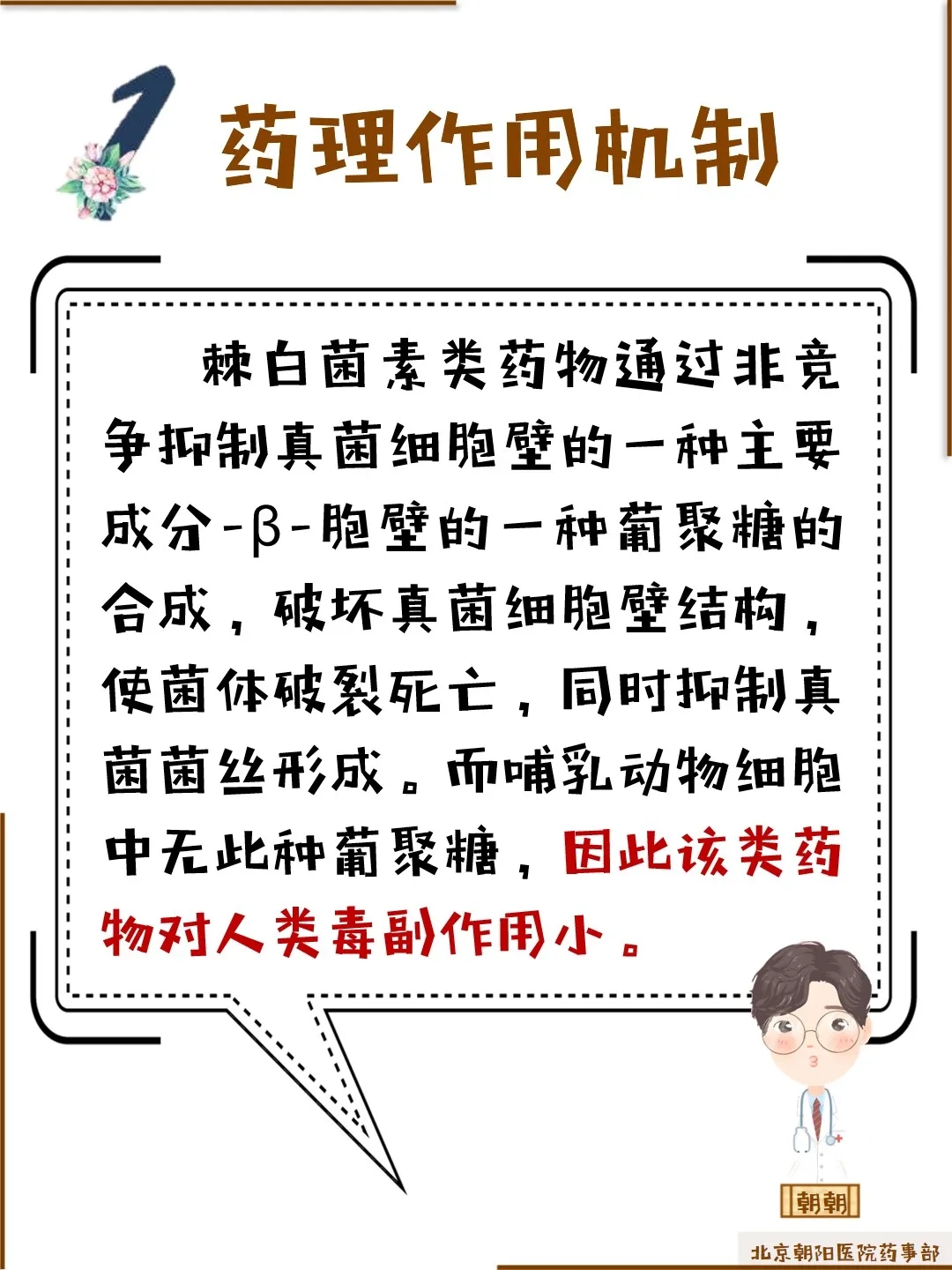 棘白菌素類(lèi)藥物科普動(dòng)漫