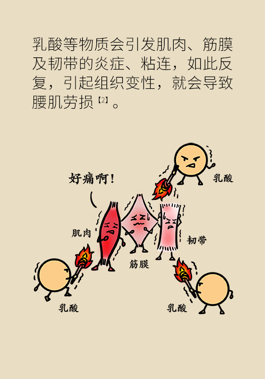 久坐久站致腰肌勞損？六招教你戰(zhàn)勝腰痛