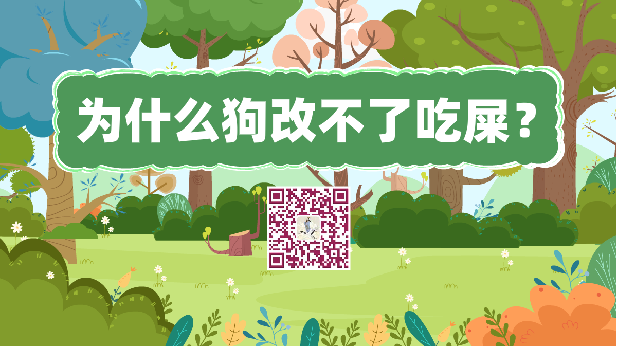 十萬個(gè)為什么標(biāo)題(為什么狗改不了吃屎)1200.png 十萬個(gè)為什么標(biāo)題(為什么狗改不了吃屎)1200.png