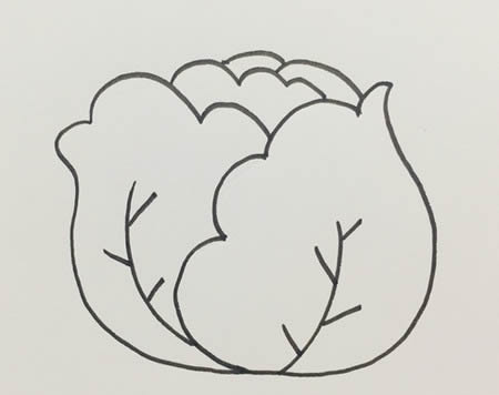 卷心菜簡(jiǎn)筆畫怎么畫簡(jiǎn)單好看