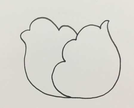 卷心菜簡(jiǎn)筆畫怎么畫簡(jiǎn)單好看