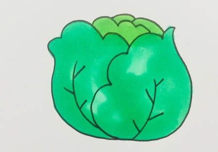 卷心菜簡(jiǎn)筆畫怎么畫簡(jiǎn)單好看