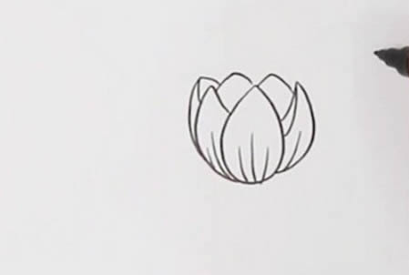 郁金香怎么畫簡(jiǎn)單好看,郁金香簡(jiǎn)筆畫帶顏色步驟圖解