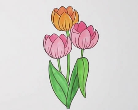 郁金香怎么畫簡(jiǎn)單好看,郁金香簡(jiǎn)筆畫帶顏色步驟圖解