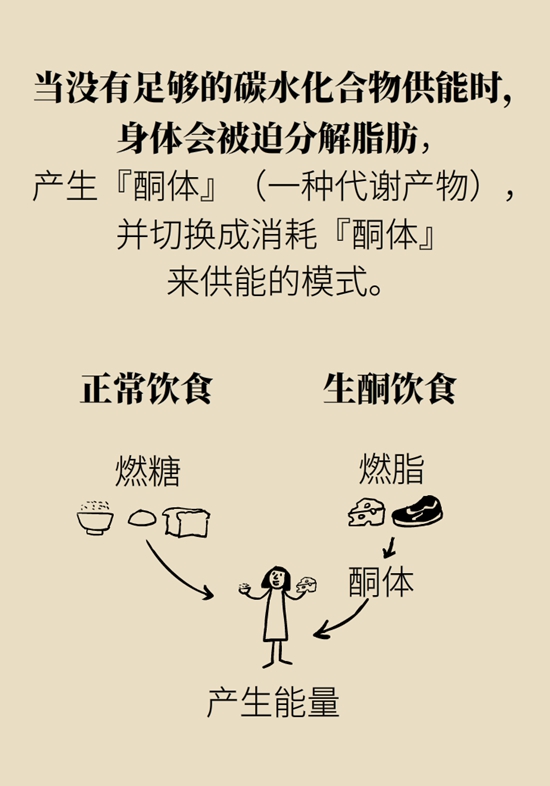 生酮飲食減肥科普動(dòng)漫制作