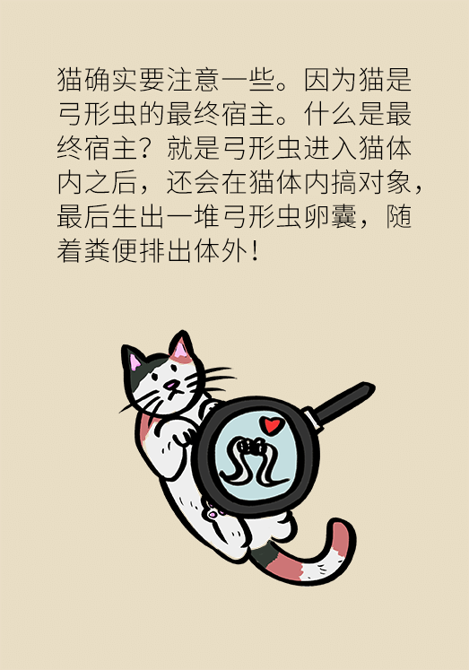 懷孕了不能養(yǎng)貓狗？別再信這些謠言了