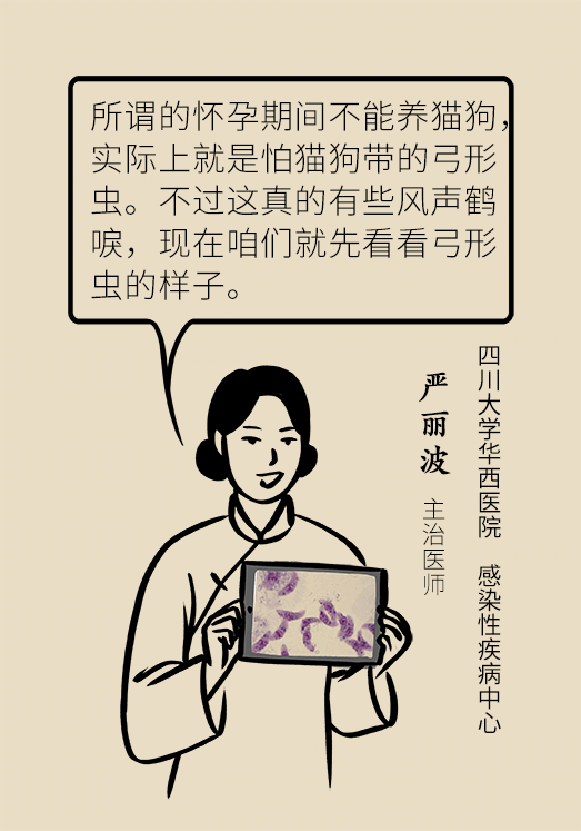 懷孕了不能養(yǎng)貓狗？別再信這些謠言了