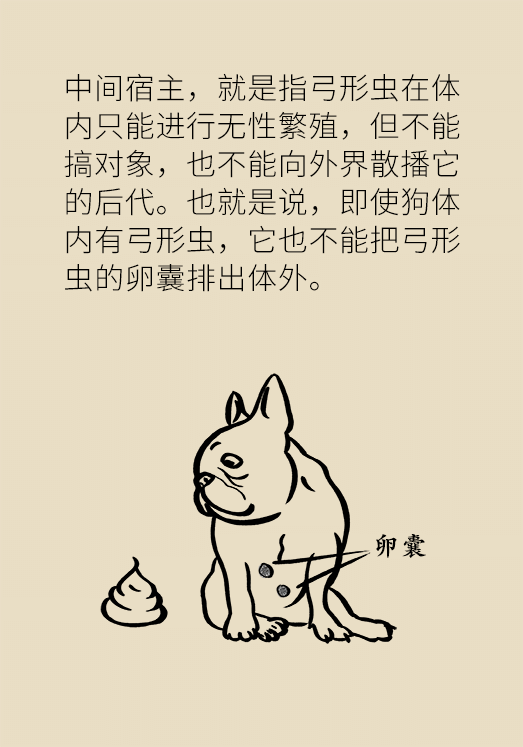 懷孕了不能養(yǎng)貓狗？別再信這些謠言了