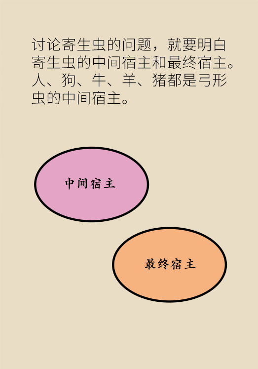 懷孕了不能養(yǎng)貓狗？別再信這些謠言了