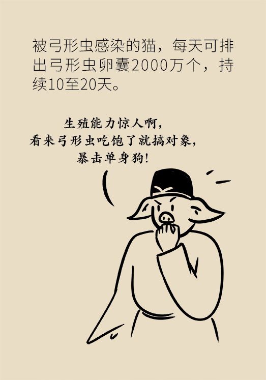 懷孕了不能養(yǎng)貓狗？別再信這些謠言了
