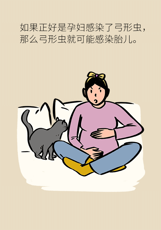 懷孕了不能養(yǎng)貓狗？別再信這些謠言了