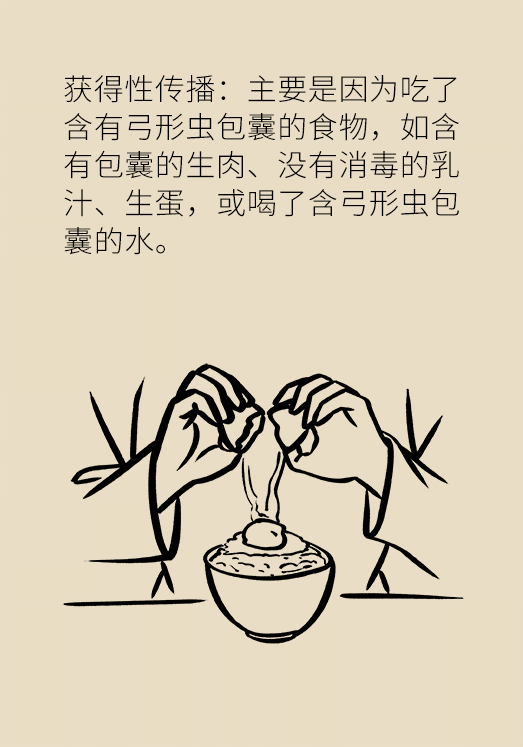 懷孕了不能養(yǎng)貓狗？別再信這些謠言了