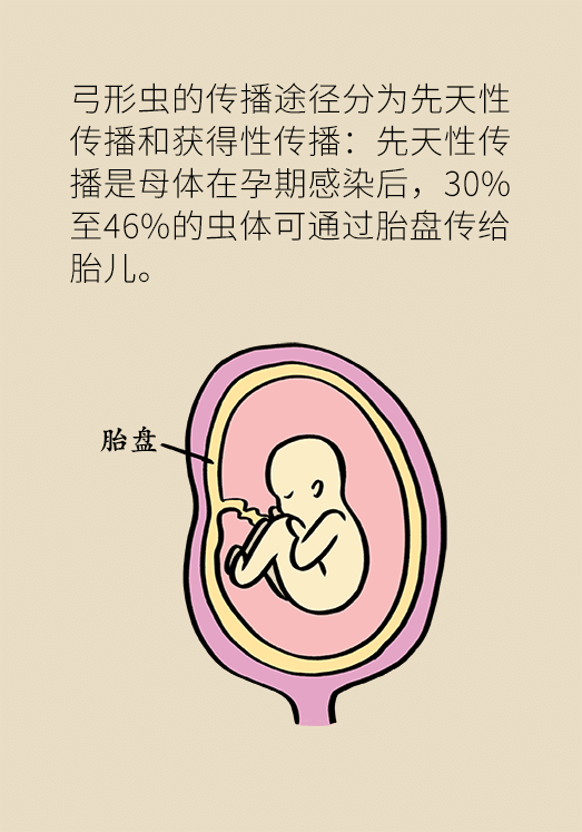 懷孕了不能養(yǎng)貓狗？別再信這些謠言了