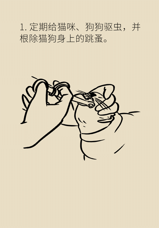 懷孕了不能養(yǎng)貓狗？別再信這些謠言了