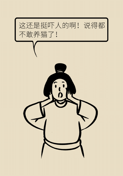 懷孕了不能養(yǎng)貓狗？別再信這些謠言了