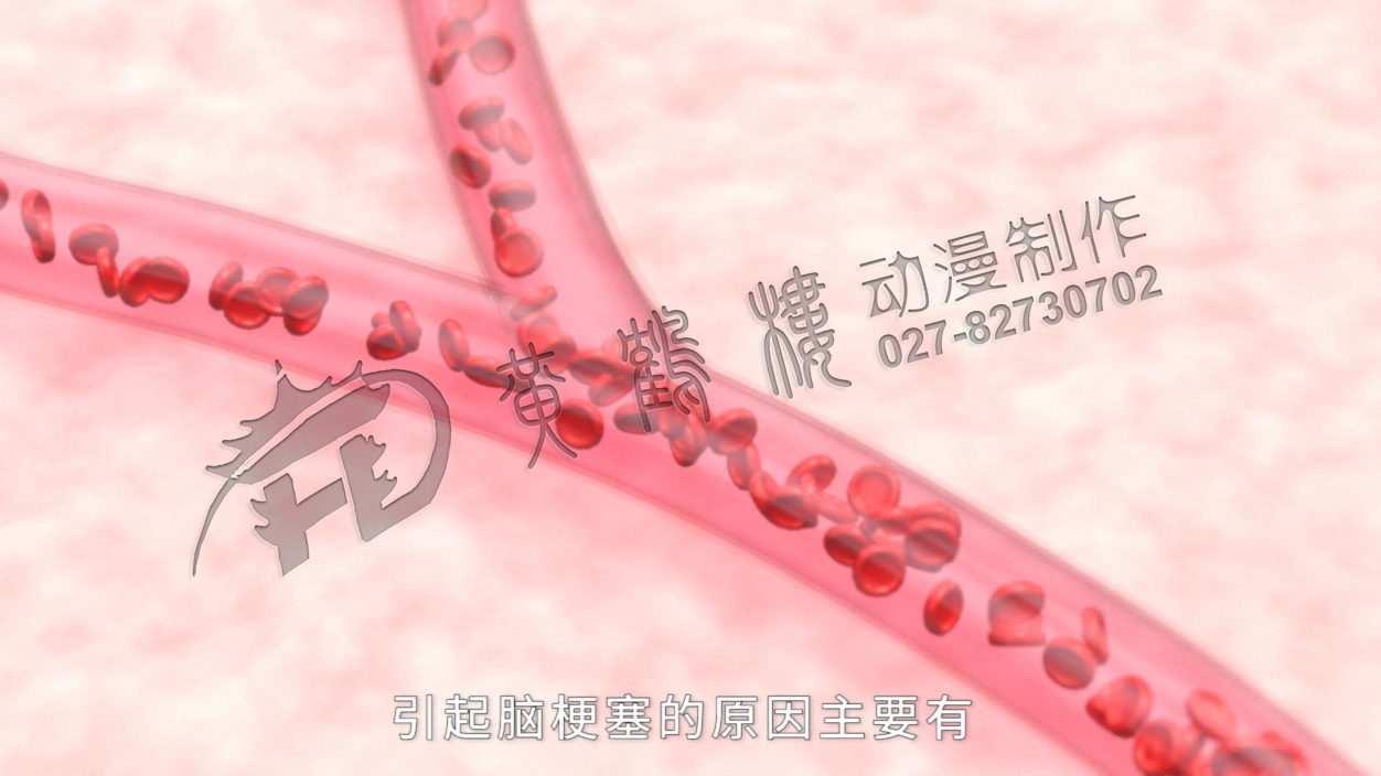 血管 血管