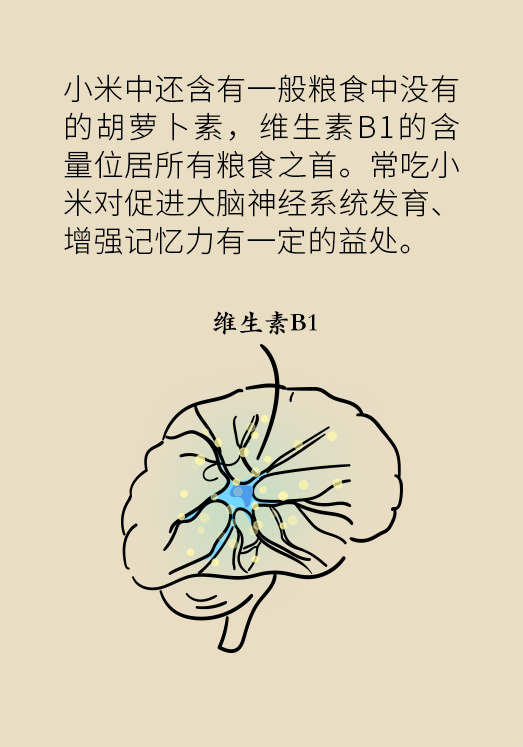 小米黃豆豬蹄怎么做才健康？