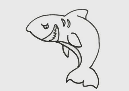 鯊魚(yú)