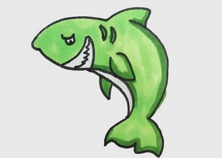 鯊魚(yú)
