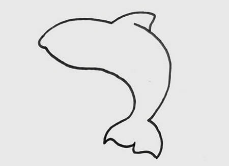 鯊魚(yú)
