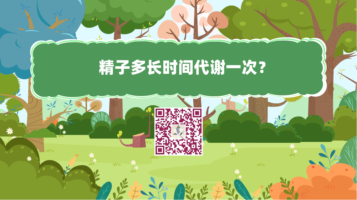 十萬個(gè)為什么標(biāo)題(精子多長(zhǎng)時(shí)間代謝一次)1200.png 十萬個(gè)為什么標(biāo)題(精子多長(zhǎng)時(shí)間代謝一次)1200.png